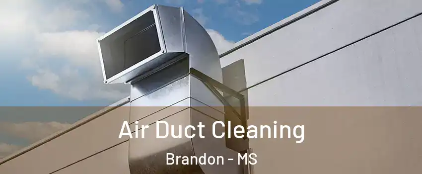  Air Duct Cleaning Brandon - MS