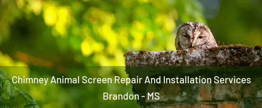  Chimney Animal Screen Repair And Installation Services Brandon - MS