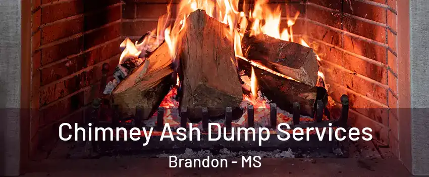  Chimney Ash Dump Services Brandon - MS