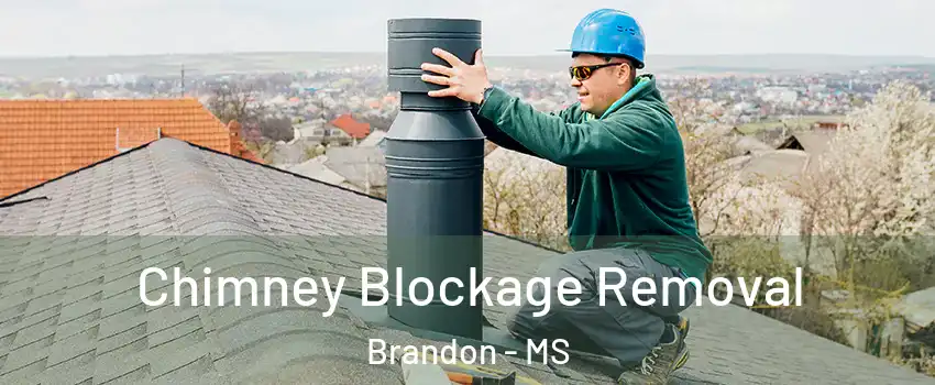  Chimney Blockage Removal Brandon - MS