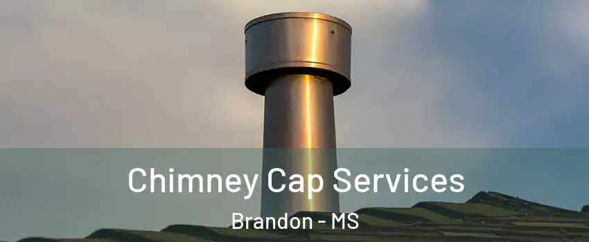  Chimney Cap Services Brandon - MS