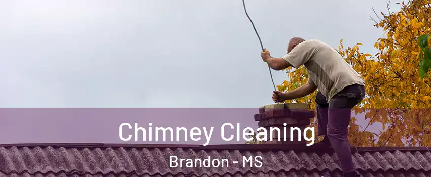  Chimney Cleaning Brandon - MS