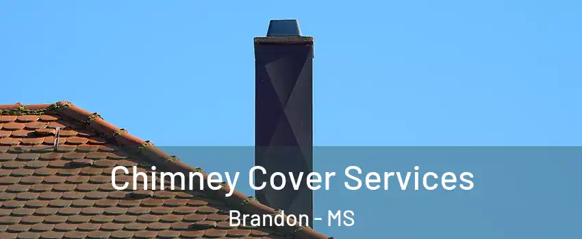 Chimney Cover Services Brandon - MS