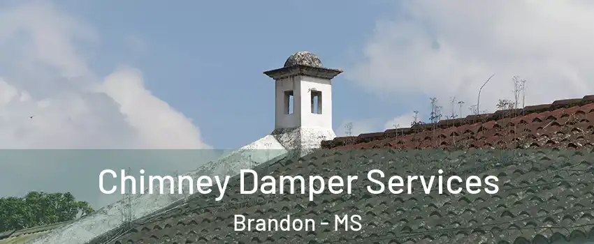  Chimney Damper Services Brandon - MS