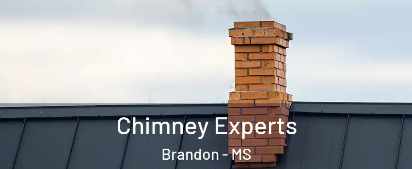  Chimney Experts Brandon - MS