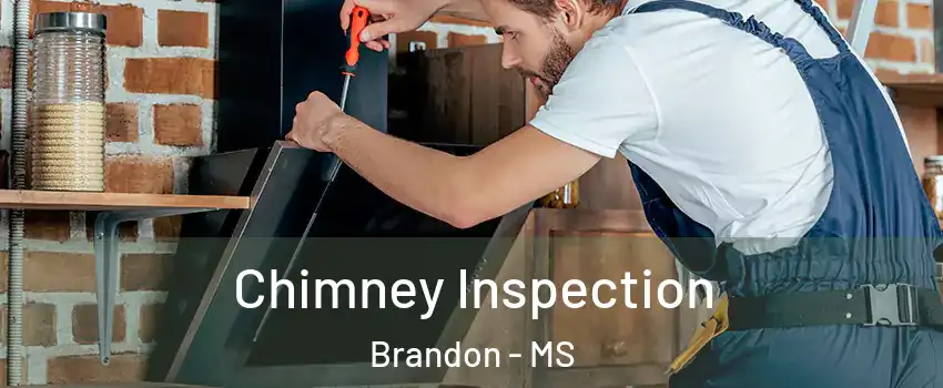  Chimney Inspection Brandon - MS