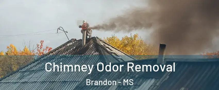  Chimney Odor Removal Brandon - MS
