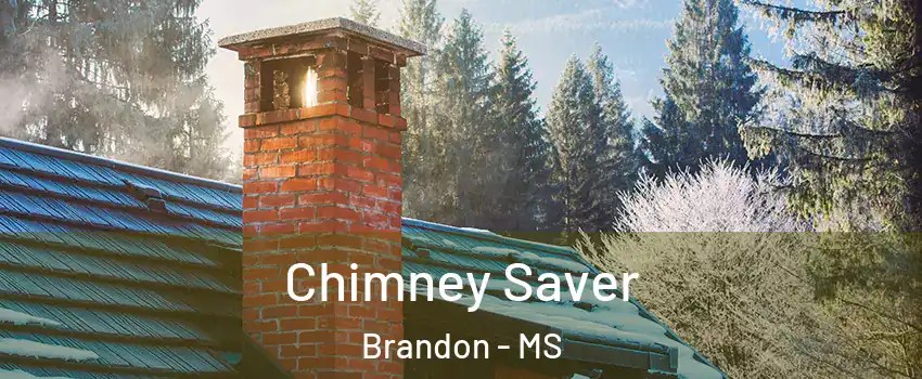  Chimney Saver Brandon - MS