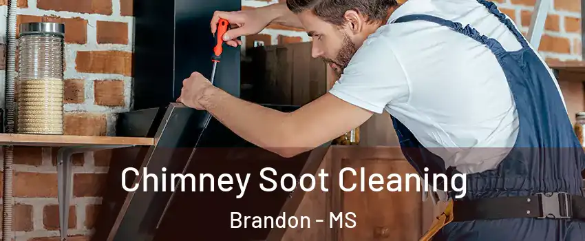  Chimney Soot Cleaning Brandon - MS