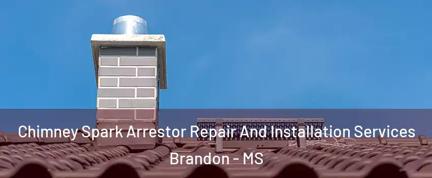  Chimney Spark Arrestor Repair And Installation Services Brandon - MS