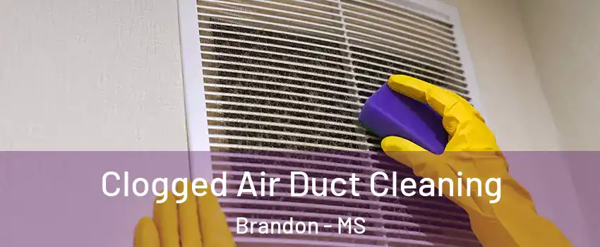  Clogged Air Duct Cleaning Brandon - MS