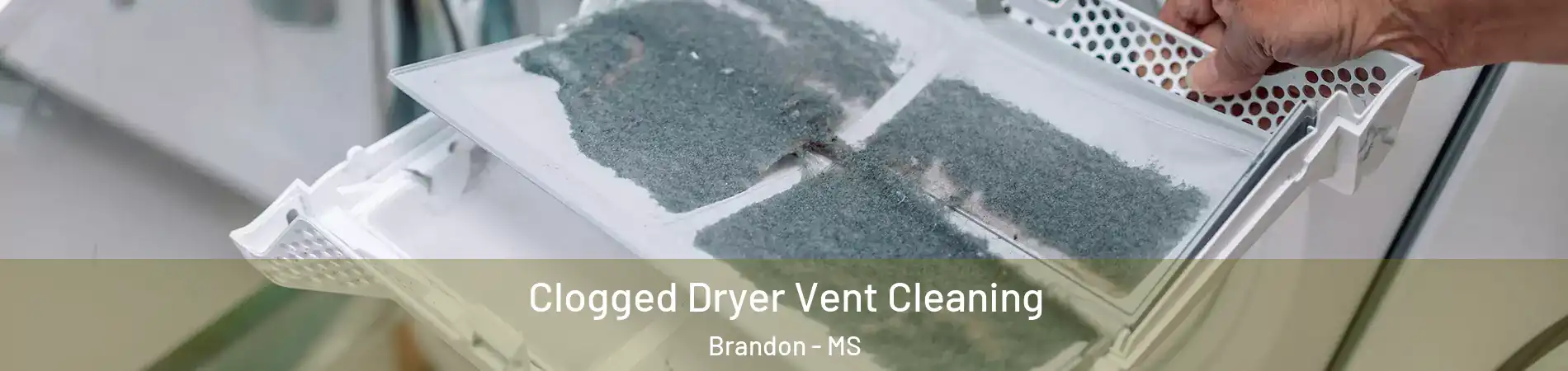  Clogged Dryer Vent Cleaning Brandon - MS