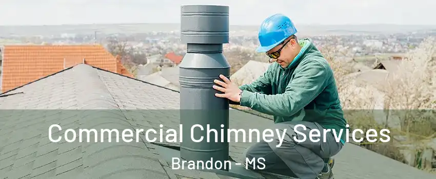  Commercial Chimney Services Brandon - MS