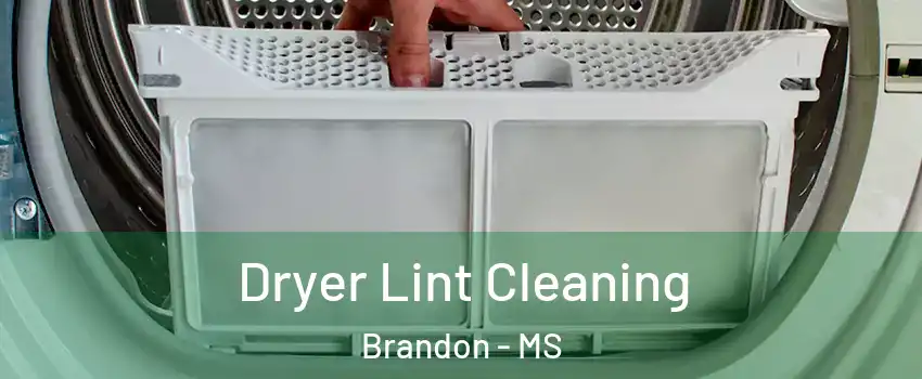  Dryer Lint Cleaning Brandon - MS
