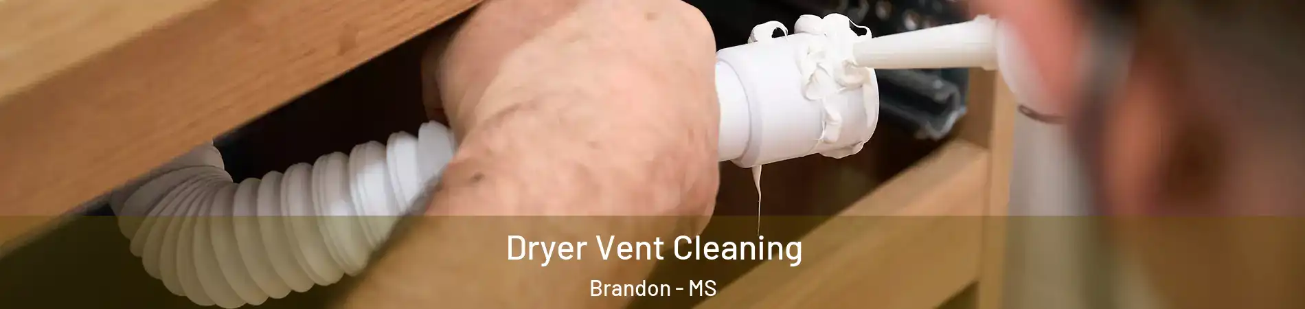  Dryer Vent Cleaning Brandon - MS