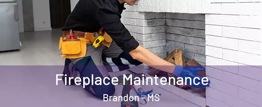  Fireplace Maintenance Brandon - MS