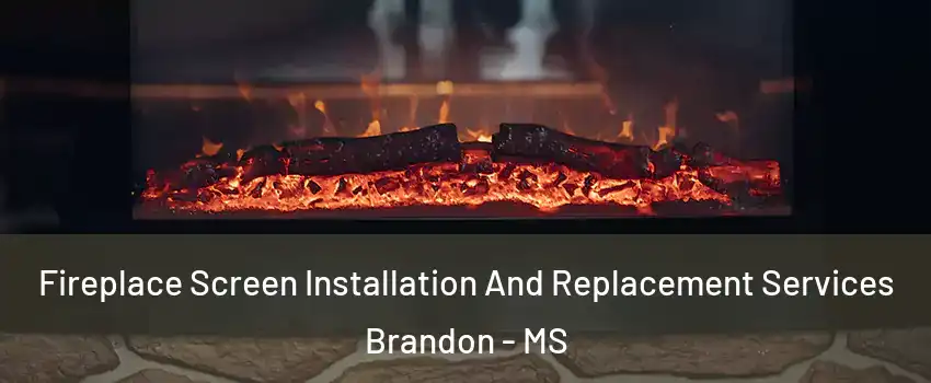  Fireplace Screen Installation And Replacement Services Brandon - MS
