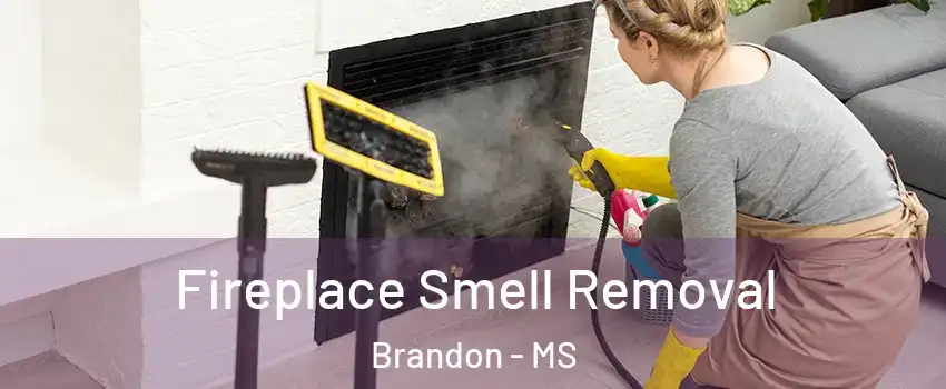  Fireplace Smell Removal Brandon - MS