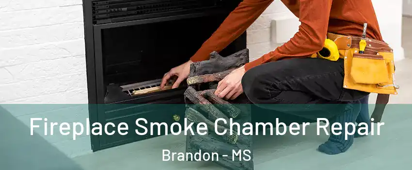  Fireplace Smoke Chamber Repair Brandon - MS