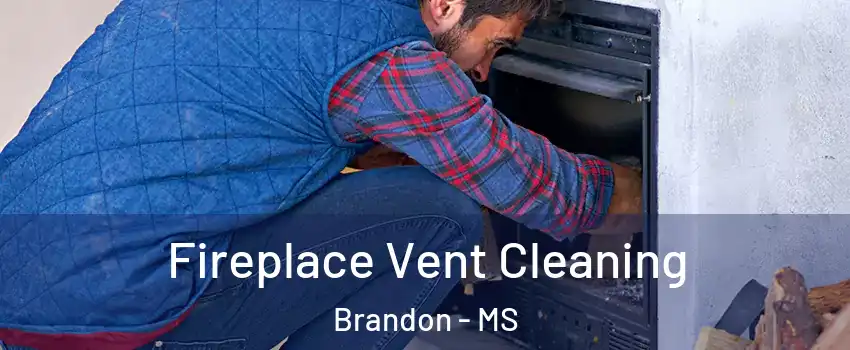  Fireplace Vent Cleaning Brandon - MS