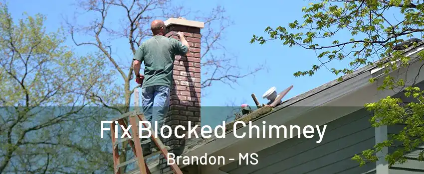  Fix Blocked Chimney Brandon - MS