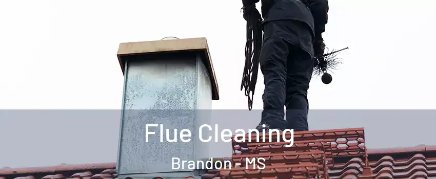  Flue Cleaning Brandon - MS