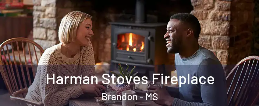  Harman Stoves Fireplace Brandon - MS