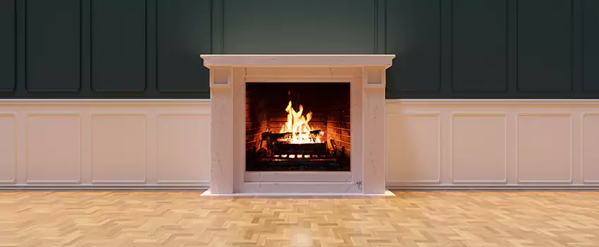 Napoleon Electric Fireplaces Inspection Service in Brandon, Mississippi
