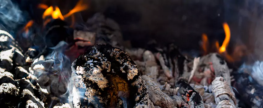 Creosote Removal Experts in Brandon, MS