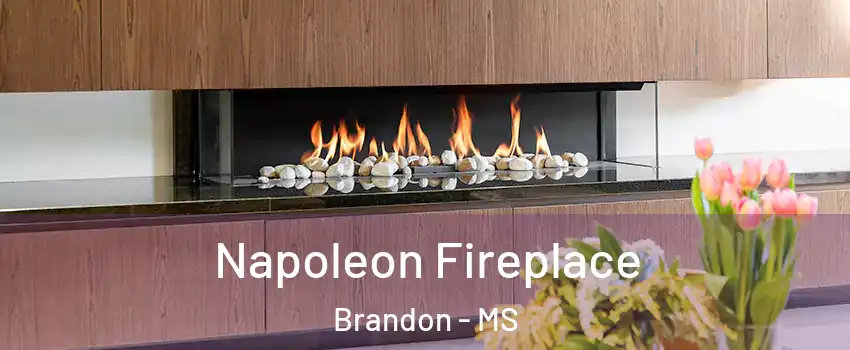  Napoleon Fireplace Brandon - MS