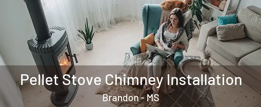  Pellet Stove Chimney Installation Brandon - MS