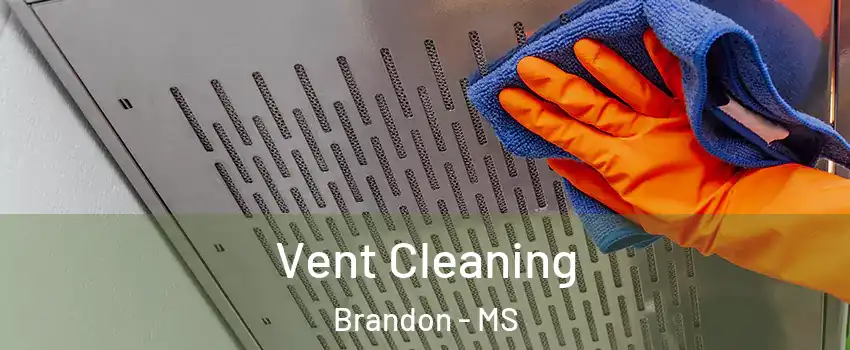  Vent Cleaning Brandon - MS